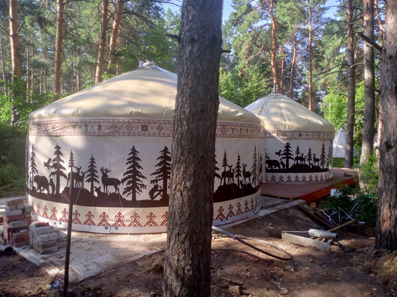 Юрты с лесным принтом в сосновом лесу