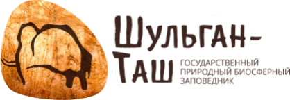 Шульганташ