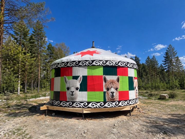 Юрта с принтом «альпаки»